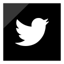 1461358824_social_media_logo_twitter